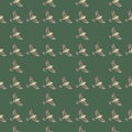 seamless pattern on a green background with birds Royalty Free Stock Photo